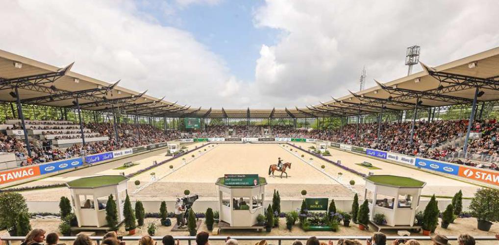 Image of a horse in a stadium with many spectators
